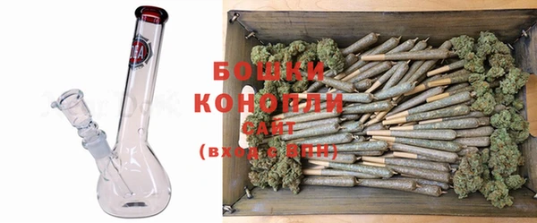 индика Кострома