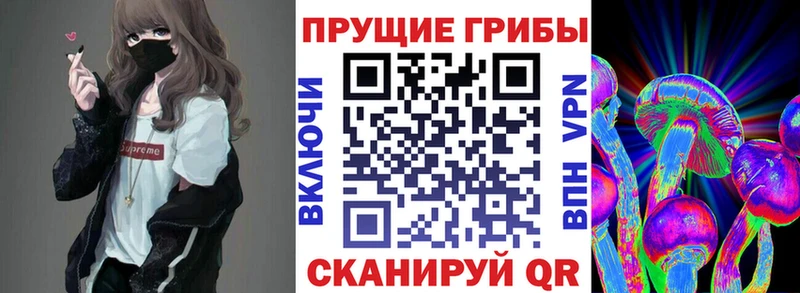Псилоцибиновые грибы Psilocybe  Бежецк 